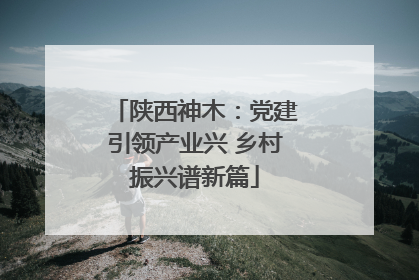 陕西神木：党建引领产业兴 乡村振兴谱新篇