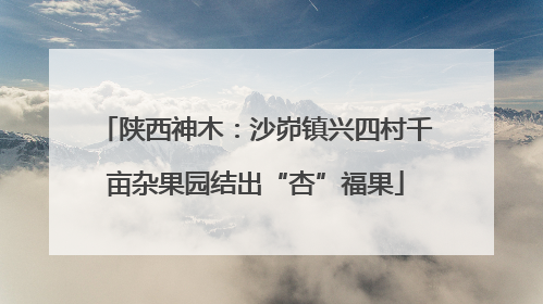 陕西神木：沙峁镇兴四村千亩杂果园结出“杏”福果