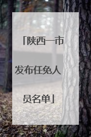 陕西一市发布任免人员名单