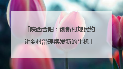 陕西合阳：创新村规民约让乡村治理焕发新的生机