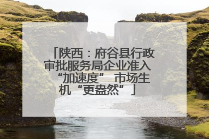 陕西：府谷县行政审批服务局企业准入“加速度” 市场生机“更盎然”