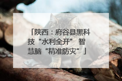 陕西：府谷县黑科技“水利全开” 智慧脑“精准防灾”