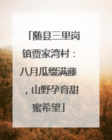 随县三里岗镇贾家湾村：八月瓜缀满藤，山野孕育甜蜜希望