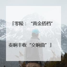 零陵：“黄金搭档”奏响丰收“交响曲”