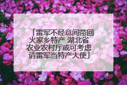 雷军不经意间带回火家乡特产 湖北省农业农村厅或可考虑请雷军当特产大使