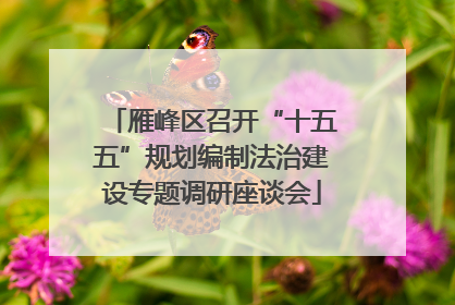 雁峰区召开“十五五”规划编制法治建设专题调研座谈会