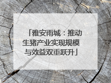 雅安雨城：推动生猪产业实现规模与效益双重跃升