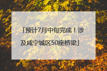 预计7月中旬完成！涉及咸宁城区50座桥梁