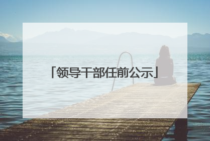 领导干部任前公示