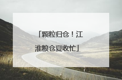 颗粒归仓！江淮粮仓夏收忙