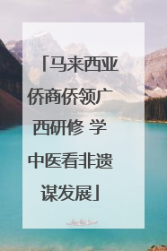 马来西亚侨商侨领广西研修 学中医看非遗谋发展