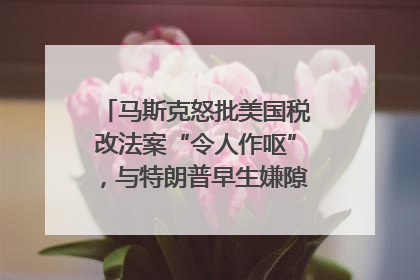 马斯克怒批美国税改法案“令人作呕”，与特朗普早生嫌隙？｜国际识局