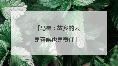 马星：故乡的云是召唤也是责任