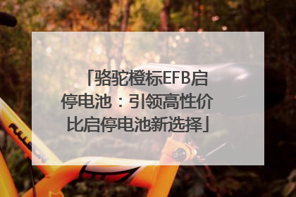 骆驼橙标EFB启停电池：引领高性价比启停电池新选择