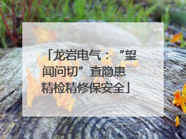 龙岩电气：“望闻问切”查隐患 精检精修保安全
