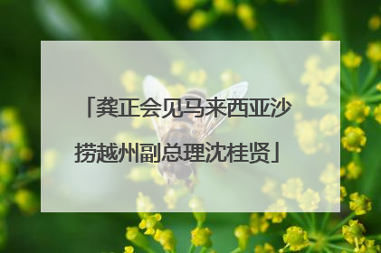 龚正会见马来西亚沙捞越州副总理沈桂贤