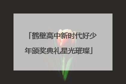 鹤壁高中新时代好少年颁奖典礼星光璀璨