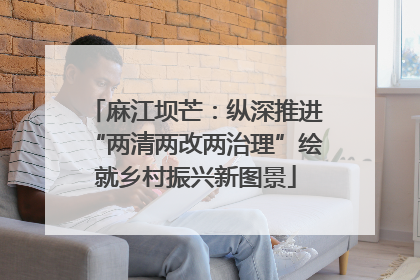 麻江坝芒：纵深推进“两清两改两治理”绘就乡村振兴新图景
