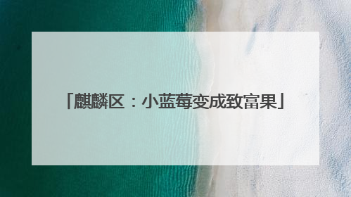 麒麟区：小蓝莓变成致富果