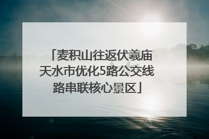 麦积山往返伏羲庙 天水市优化5路公交线路串联核心景区
