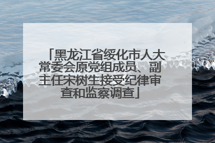 黑龙江省绥化市人大常委会原党组成员、副主任宋树生接受纪律审查和监察调查