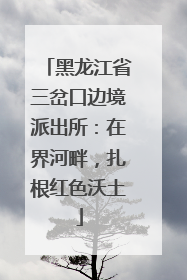 黑龙江省三岔口边境派出所：在界河畔，扎根红色沃土