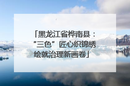 黑龙江省桦南县：“三色”匠心织锦绣 绘就治理新画卷