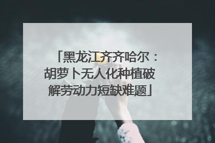 黑龙江齐齐哈尔：胡萝卜无人化种植破解劳动力短缺难题