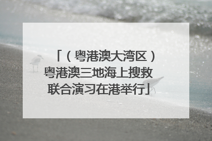 （粤港澳大湾区）粤港澳三地海上搜救联合演习在港举行