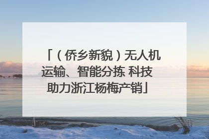 （侨乡新貌）无人机运输、智能分拣 科技助力浙江杨梅产销