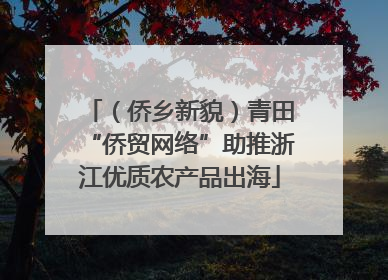 （侨乡新貌）青田“侨贸网络”助推浙江优质农产品出海