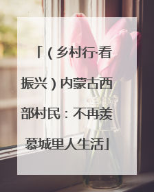 （乡村行·看振兴）内蒙古西部村民：不再羡慕城里人生活