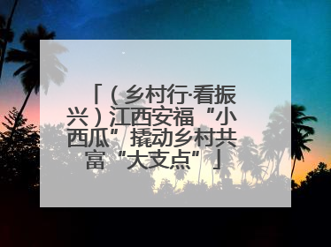 （乡村行·看振兴）江西安福“小西瓜”撬动乡村共富“大支点”