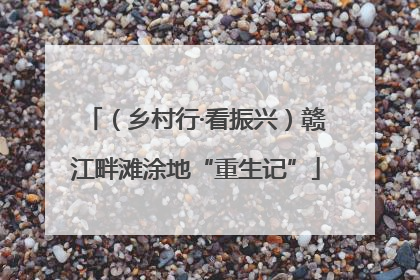 （乡村行·看振兴）赣江畔滩涂地“重生记”