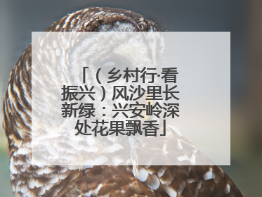 （乡村行·看振兴）风沙里长新绿：兴安岭深处花果飘香