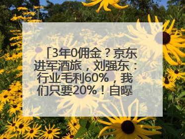 3年0佣金？京东进军酒旅，刘强东：行业毛利60%，我们只要20%！自曝曾请王兴吃饭“我要做外卖了”