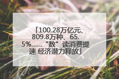 100.28万亿元、809.8万种、65.5%……“数”读消费提速 经济潜力释放