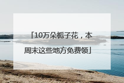 10万朵栀子花，本周末这些地方免费领