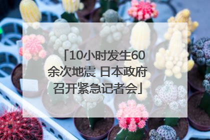 10小时发生60余次地震 日本政府召开紧急记者会