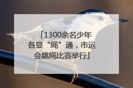 1300余名少年各显“绳”通，市运会跳绳比赛举行