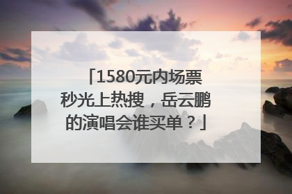 1580元内场票秒光上热搜，岳云鹏的演唱会谁买单？