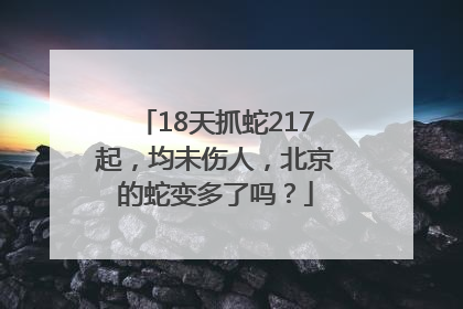 18天抓蛇217起，均未伤人，北京的蛇变多了吗？