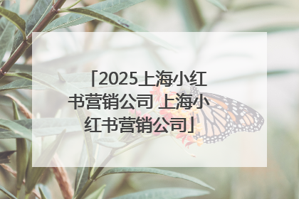 2025上海小红书营销公司 上海小红书营销公司