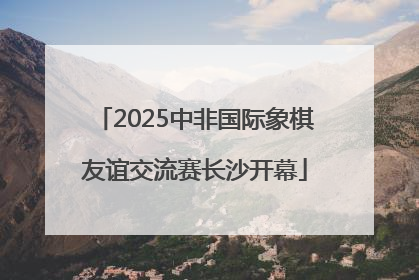 2025中非国际象棋友谊交流赛长沙开幕
