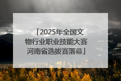 2025年全国文物行业职业技能大赛河南省选拔赛落幕