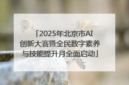 2025年北京市AI创新大赛暨全民数字素养与技能提升月全面启动