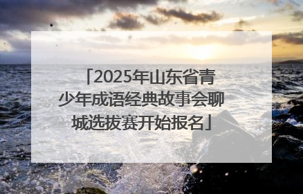 2025年山东省青少年成语经典故事会聊城选拔赛开始报名