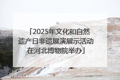 2025年文化和自然遗产日非遗展演展示活动在河北博物院举办