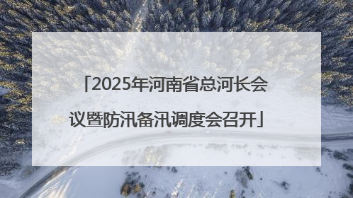 2025年河南省总河长会议暨防汛备汛调度会召开