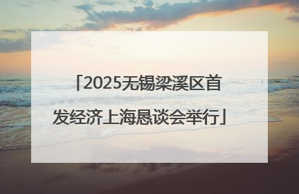 2025无锡梁溪区首发经济上海恳谈会举行
